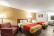 Econo Lodge Miles City - Second Medium
