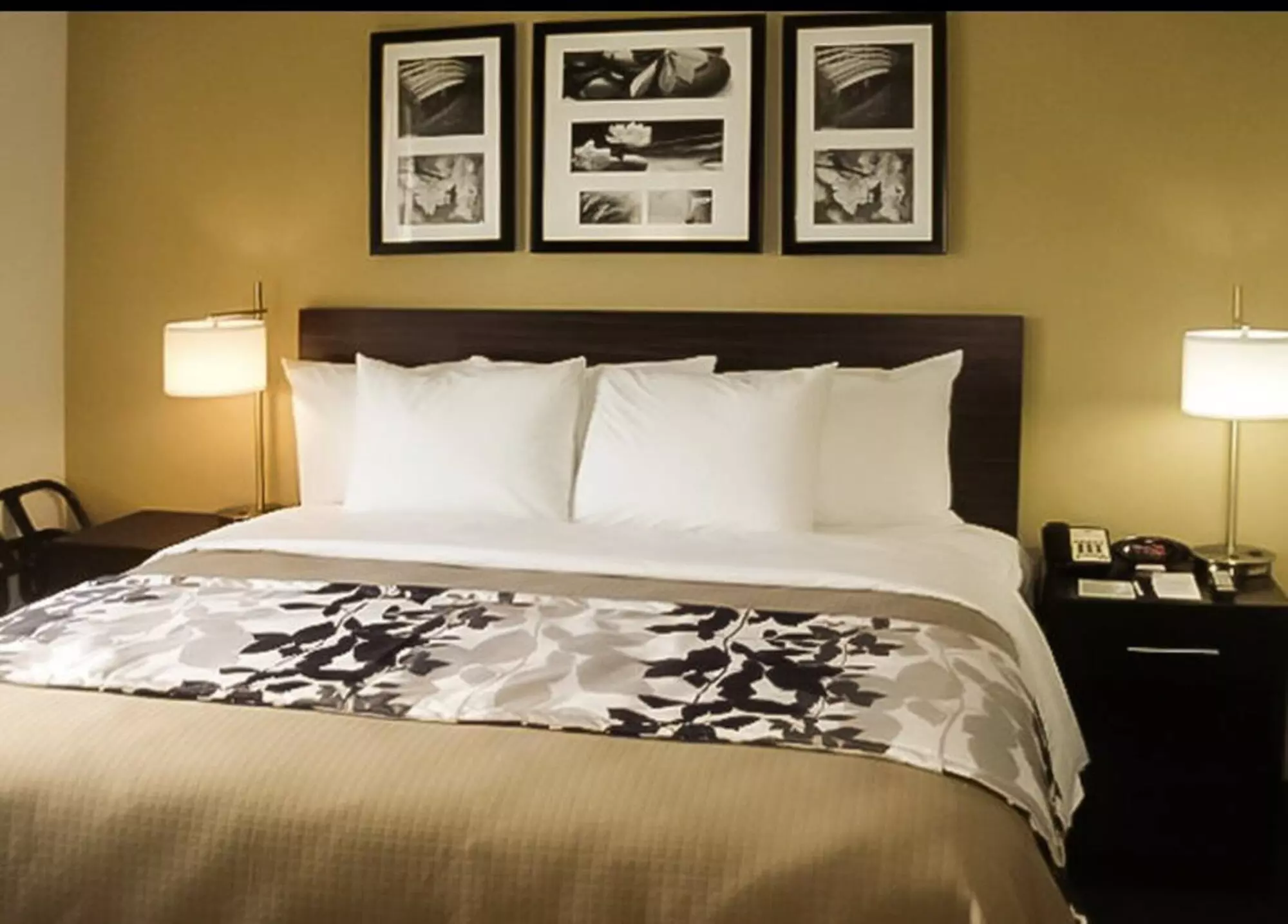 The Vue Inn Brooklyn - Primary Image