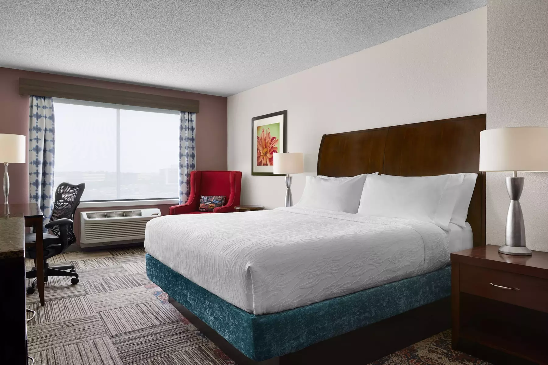 Hilton Garden Inn Denver South Park Meadows Area - Primary Image
