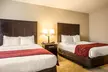 Comfort Suites Lake Norman - Huntersville - Second Medium
