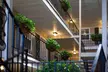 Frenchmen Orleans at 519, Ascend Hotel Collection - Second Medium