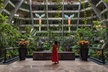 Grand Oasis Cancun - All Inclusive - Second Medium