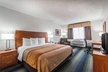 Quality Inn Denver Westminster - Second Medium