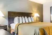 Quality Inn & Suites University/Airport - Second Medium