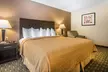 Quality Inn & Suites Decorah - Second Medium