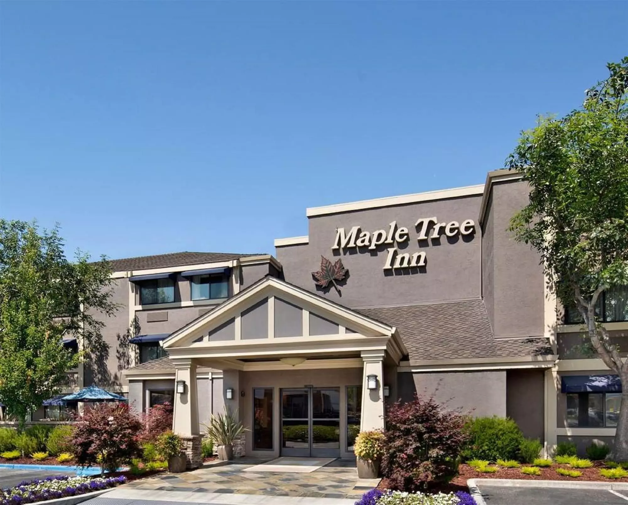 Maple Tree Inn - Primary Image