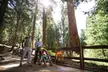 Cedar Grove Lodge - Second Medium