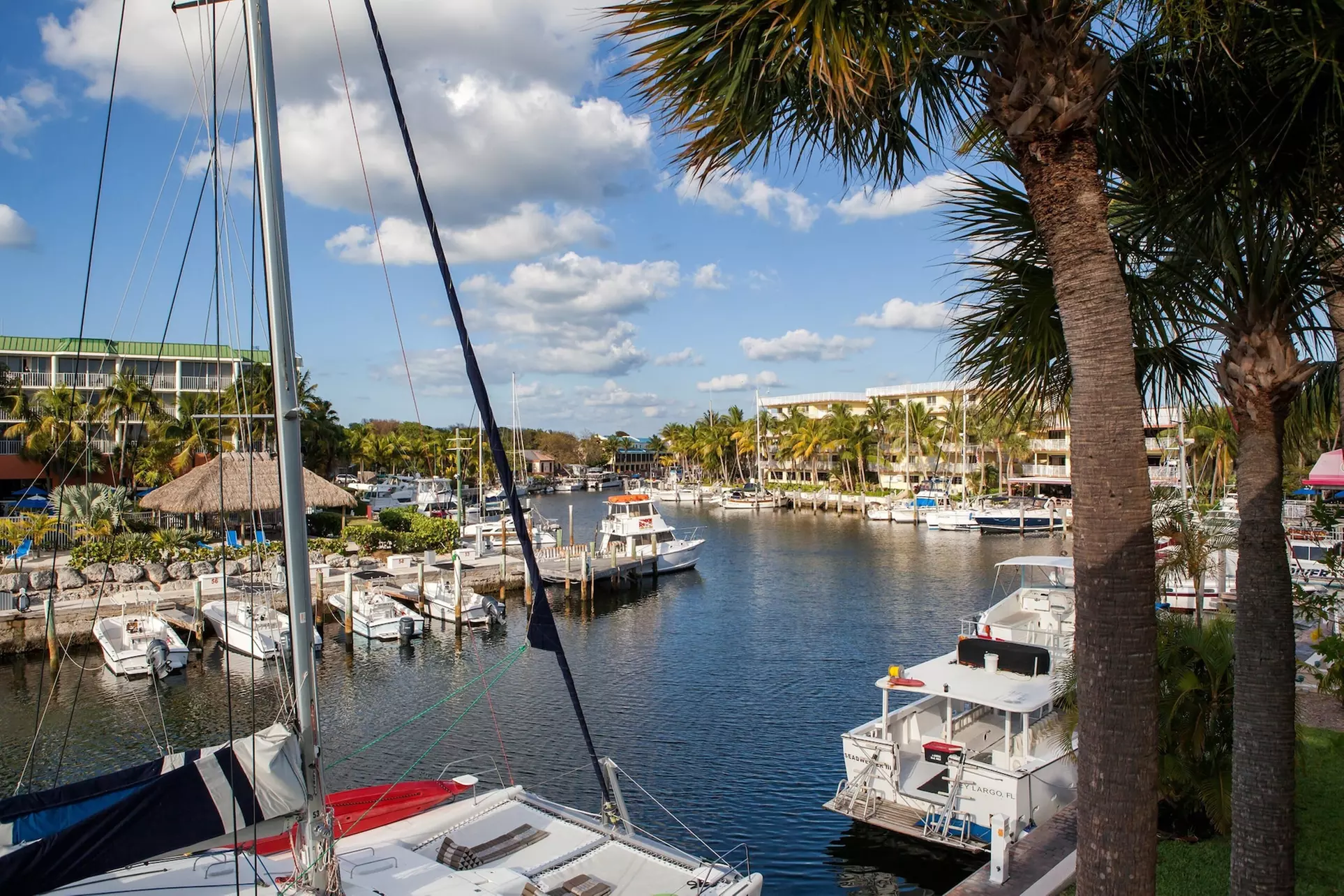 Holiday Inn Key Largo by IHG - Primary Image