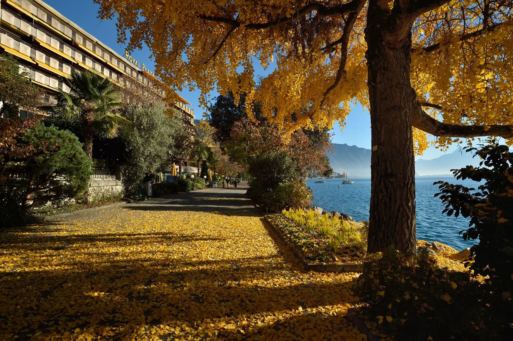 Royal Plaza Montreux - Primary Image