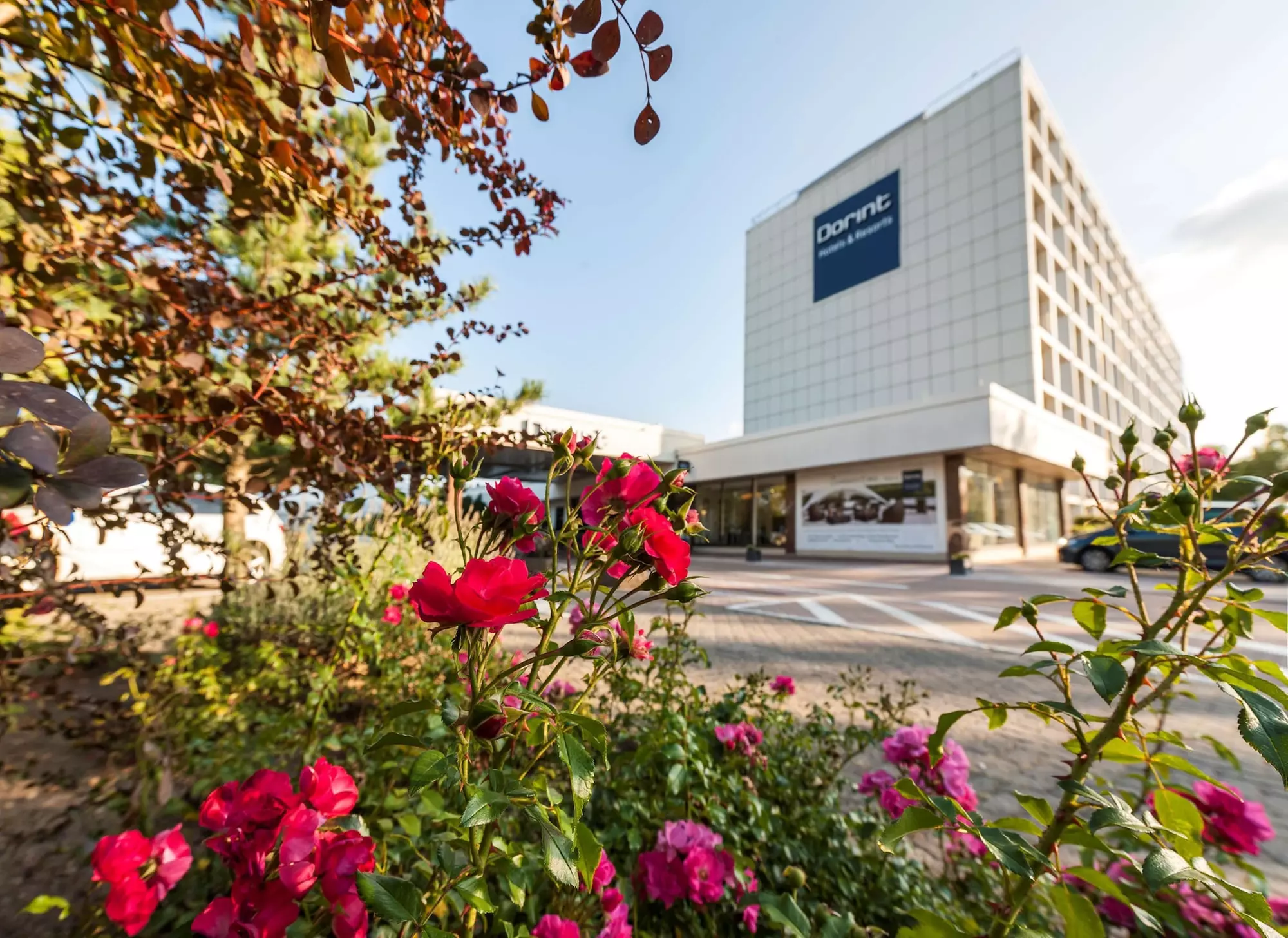 Dorint Main Taunus Zentrum Frankfurt/Sulzbach - Primary Image
