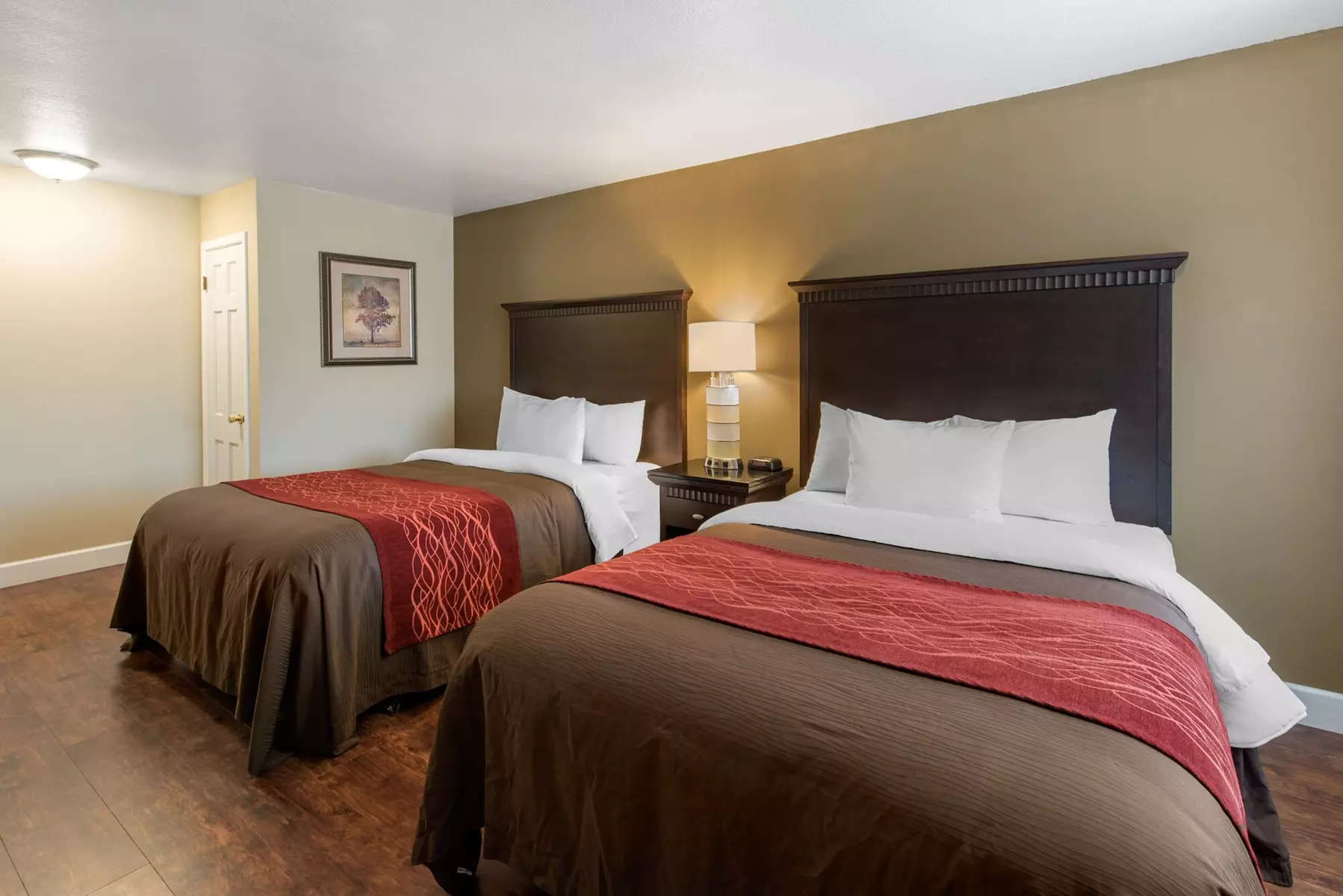 Abode - Primary Image