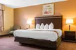Quality Inn & Suites Bloomington University Area - Second Medium