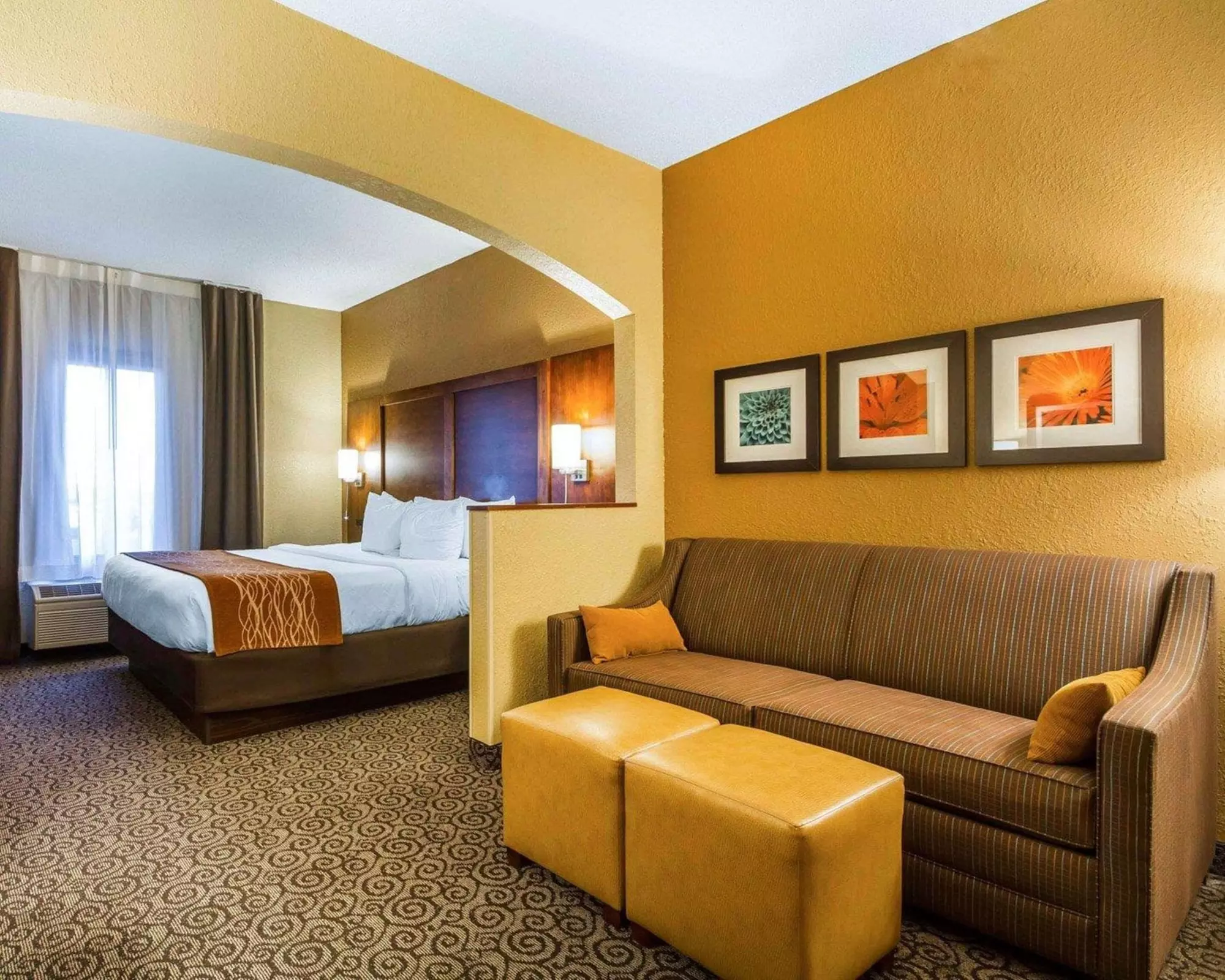 Comfort Suites - Primary Image