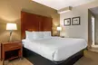 Comfort Inn & Suites Tavares North - Second Medium