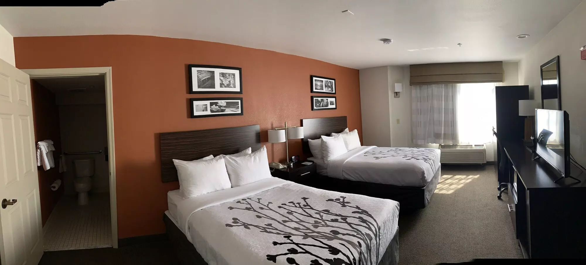 Sleep Inn Phoenix North I-17 - Primary Image