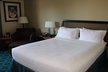 Holiday Inn Express Mesa Verde-Cortez, an IHG Hotel - Second Medium