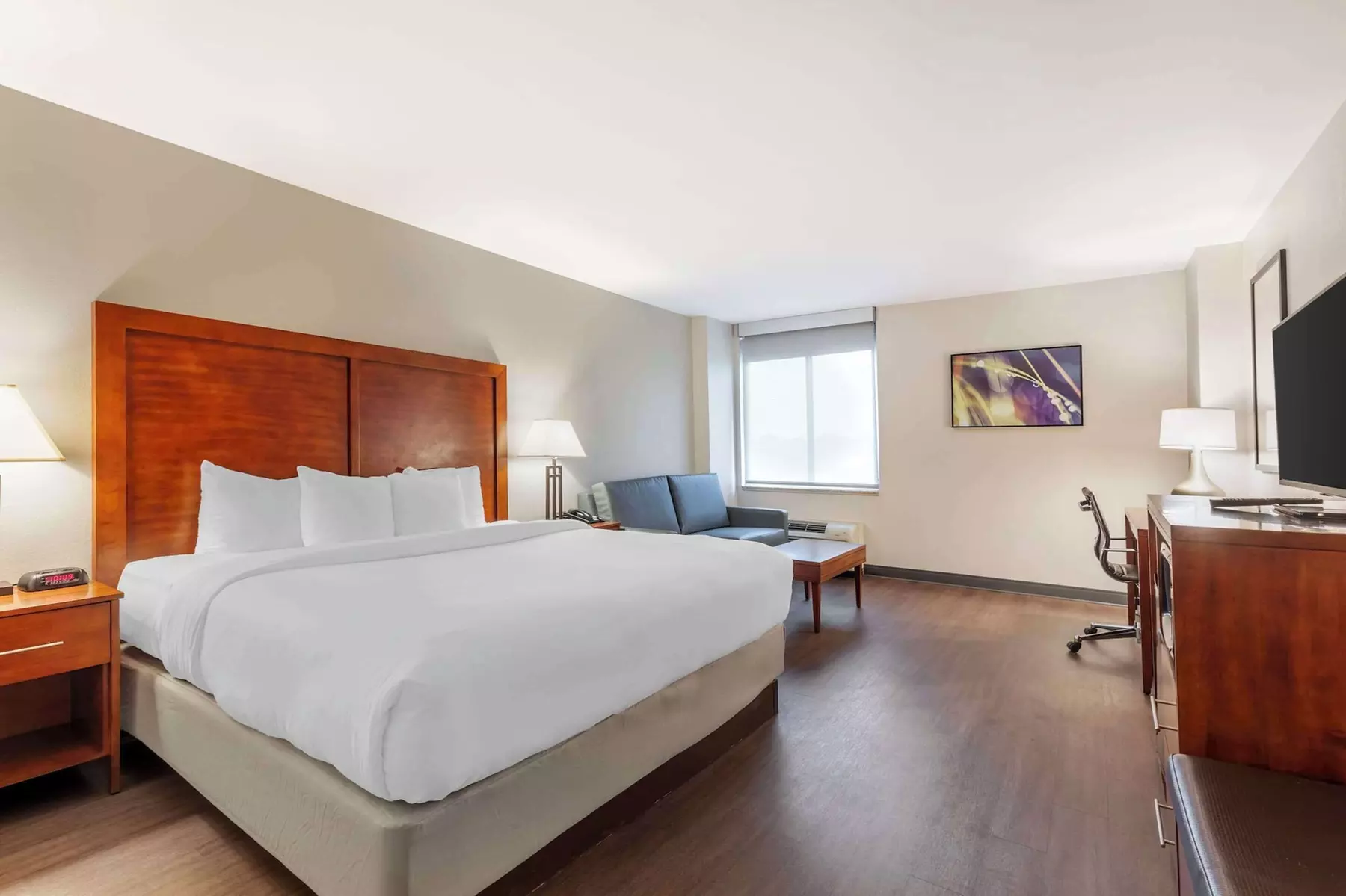 Comfort Inn Conference Center - Primary Image