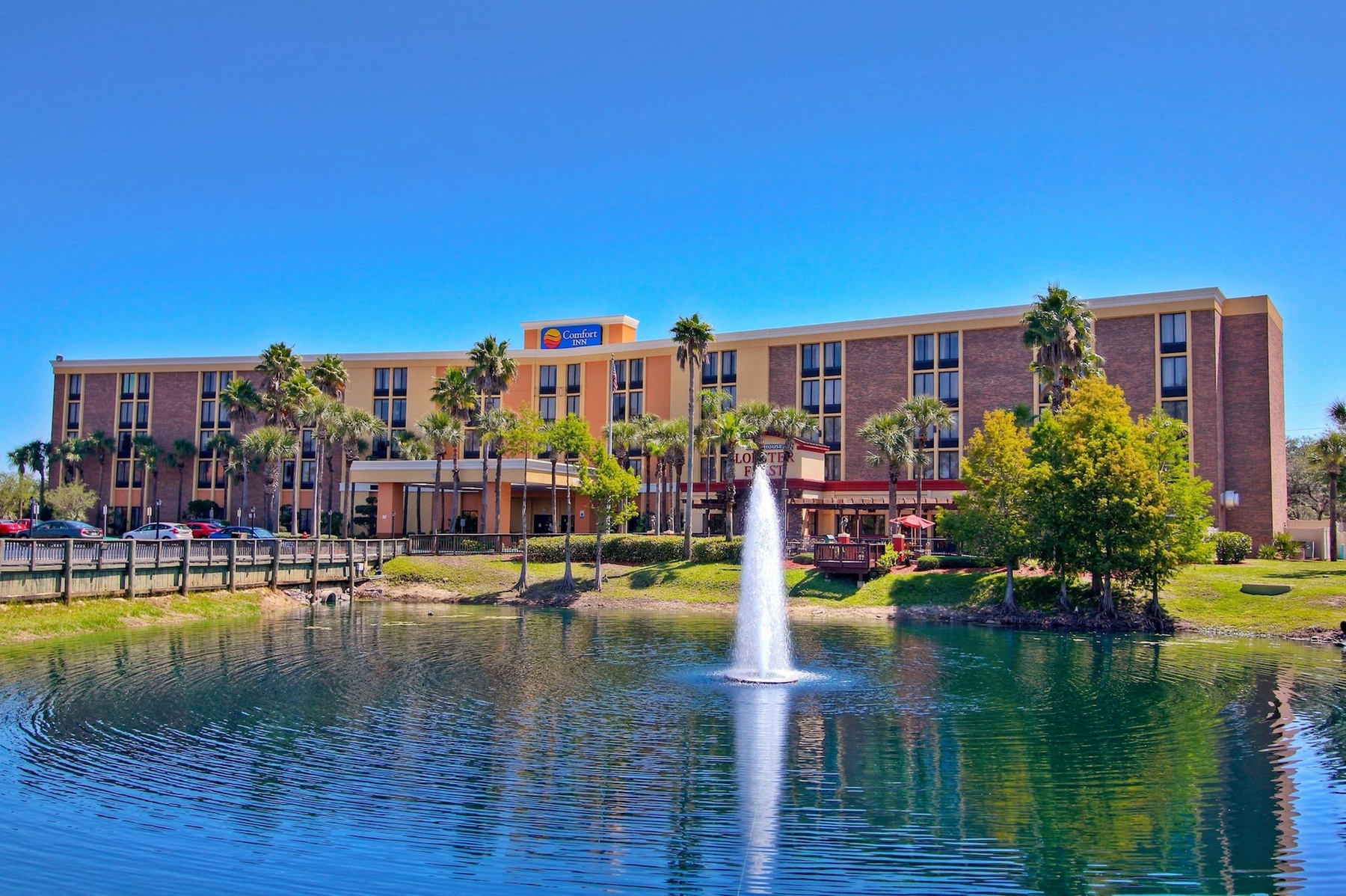 The Adventure Hotel by the parks