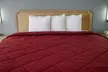 Rodeway Inn - Second Medium