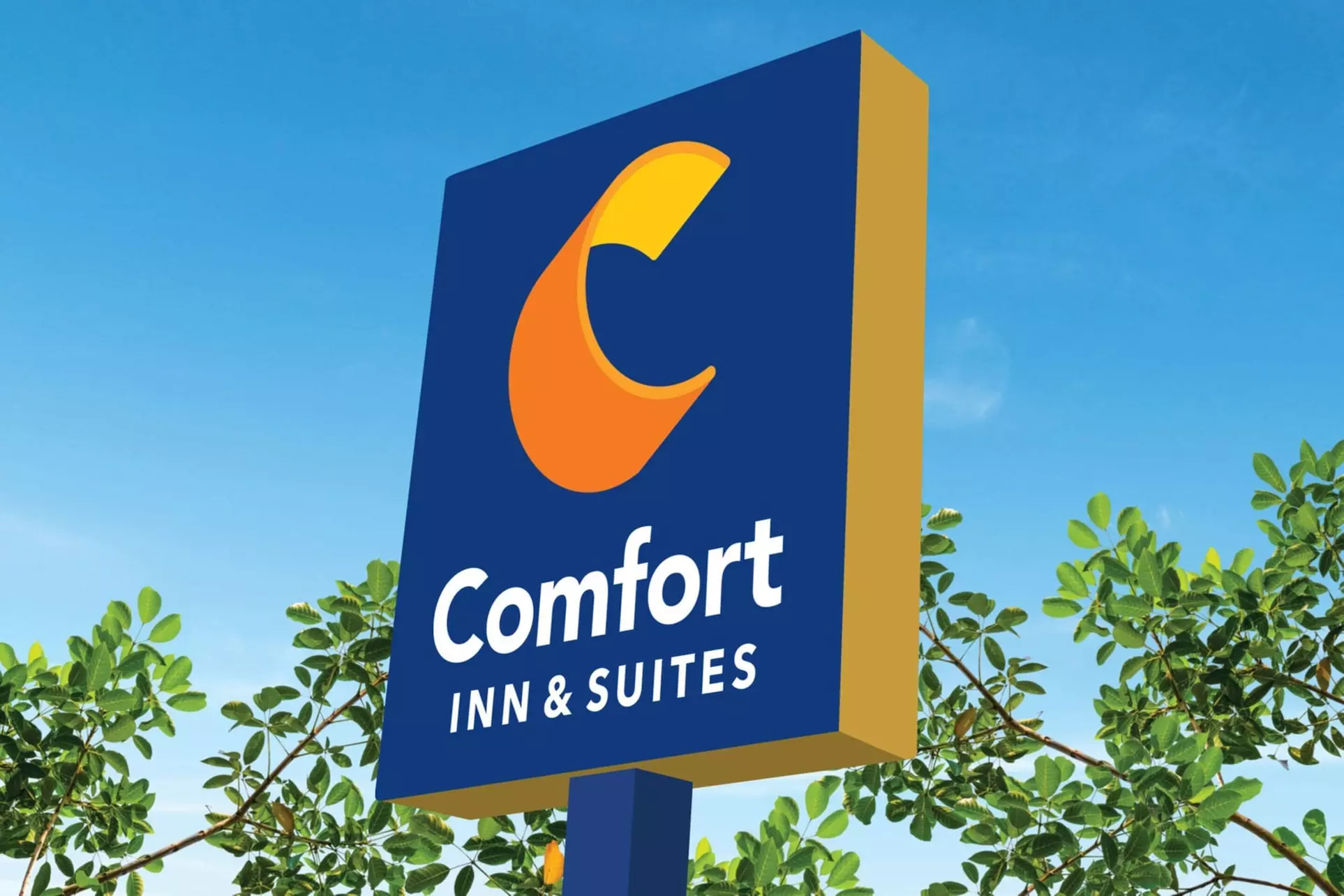 Comfort Inn & Suites - Primary Image