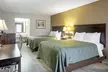Quality Inn & Suites Live Oak I-10 Exit 283 - Second Medium