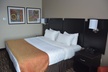 Roosevelt Inn and Suites - Second Medium