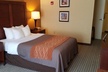 Comfort Inn Hummelstown near the Park - Hershey - Second Medium
