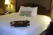 Hampton Inn Olathe - Second Medium