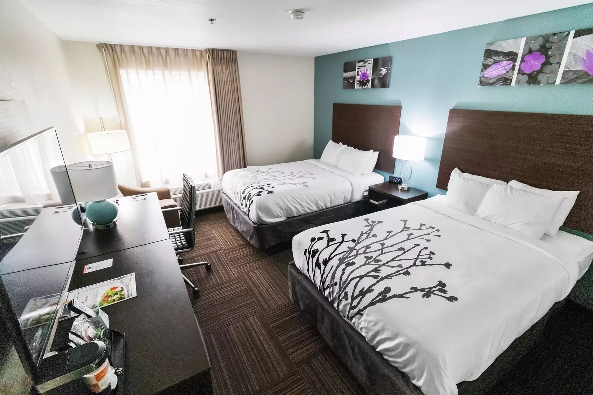 Sleep Inn - Primary Image
