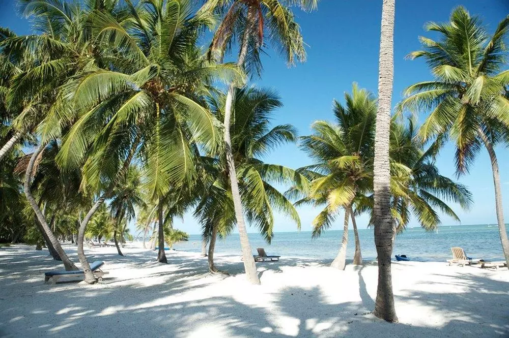 The Moorings Village - Primary Image