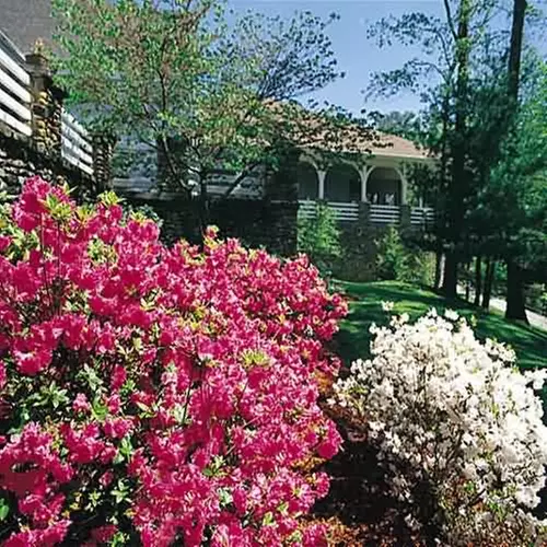PINE MOUNTAIN STATE RESORT - Primary Image