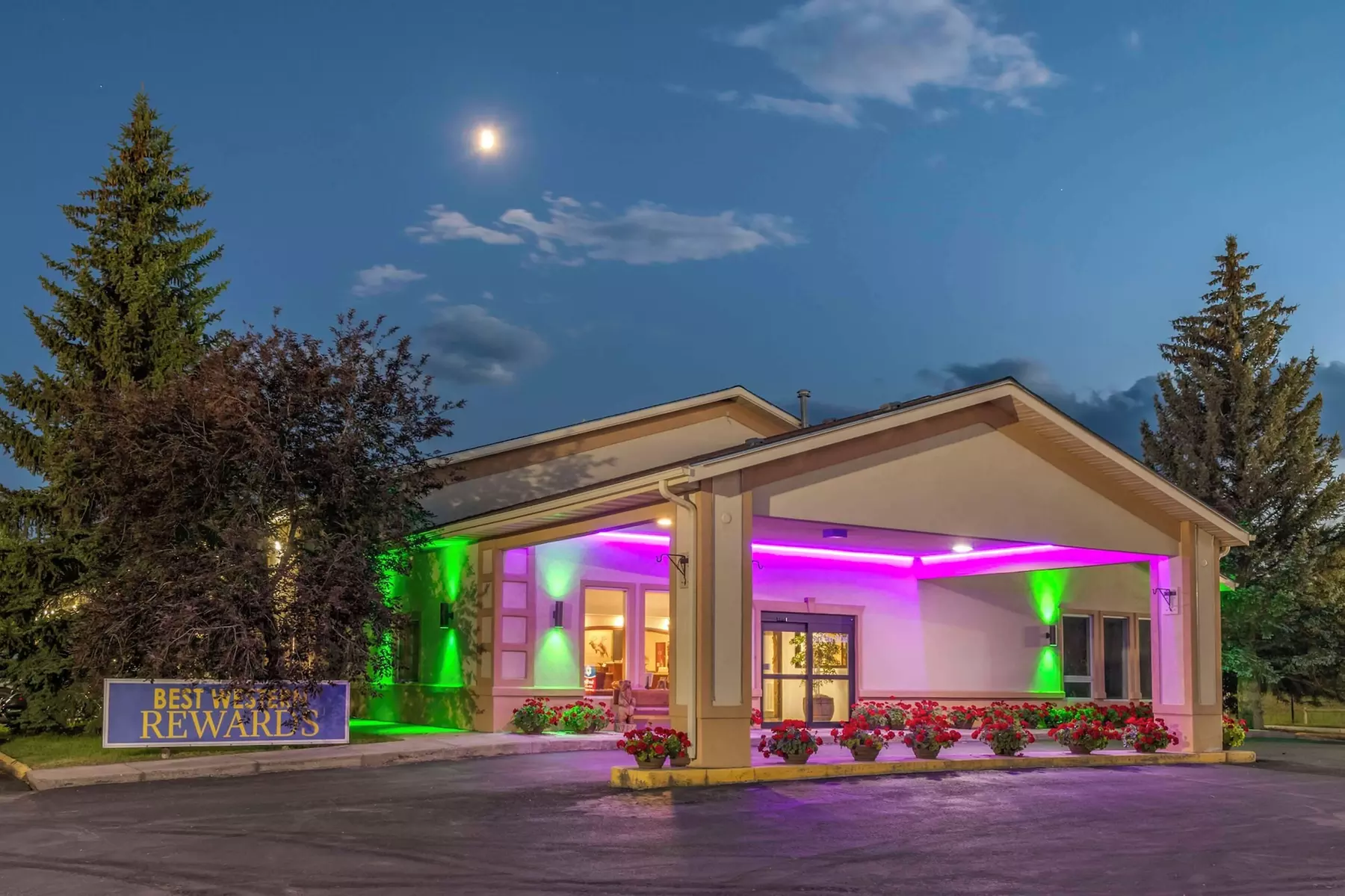 SureStay Plus Hotel by Best Western Buffalo - Primary Image