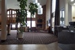 Best Western Indian Oak - Second Medium