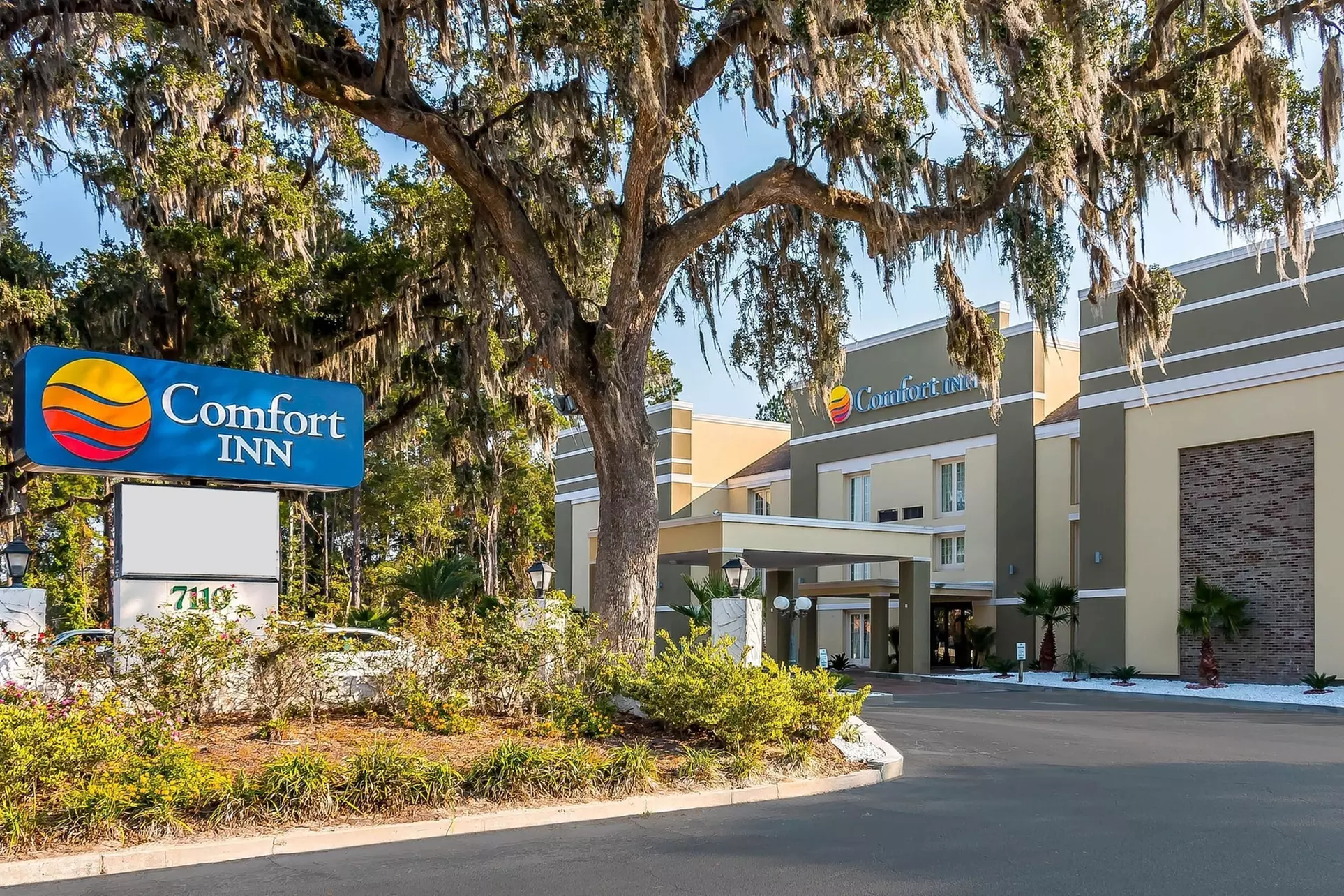 Comfort Inn - Primary Image
