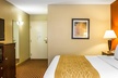 Comfort Inn & Suites - Second Medium
