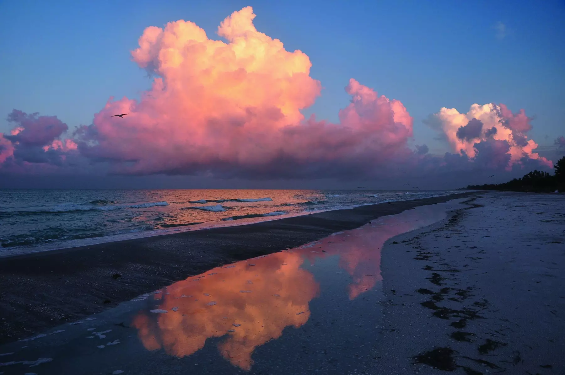 Beach Castle Resort by RVA - Primary Image