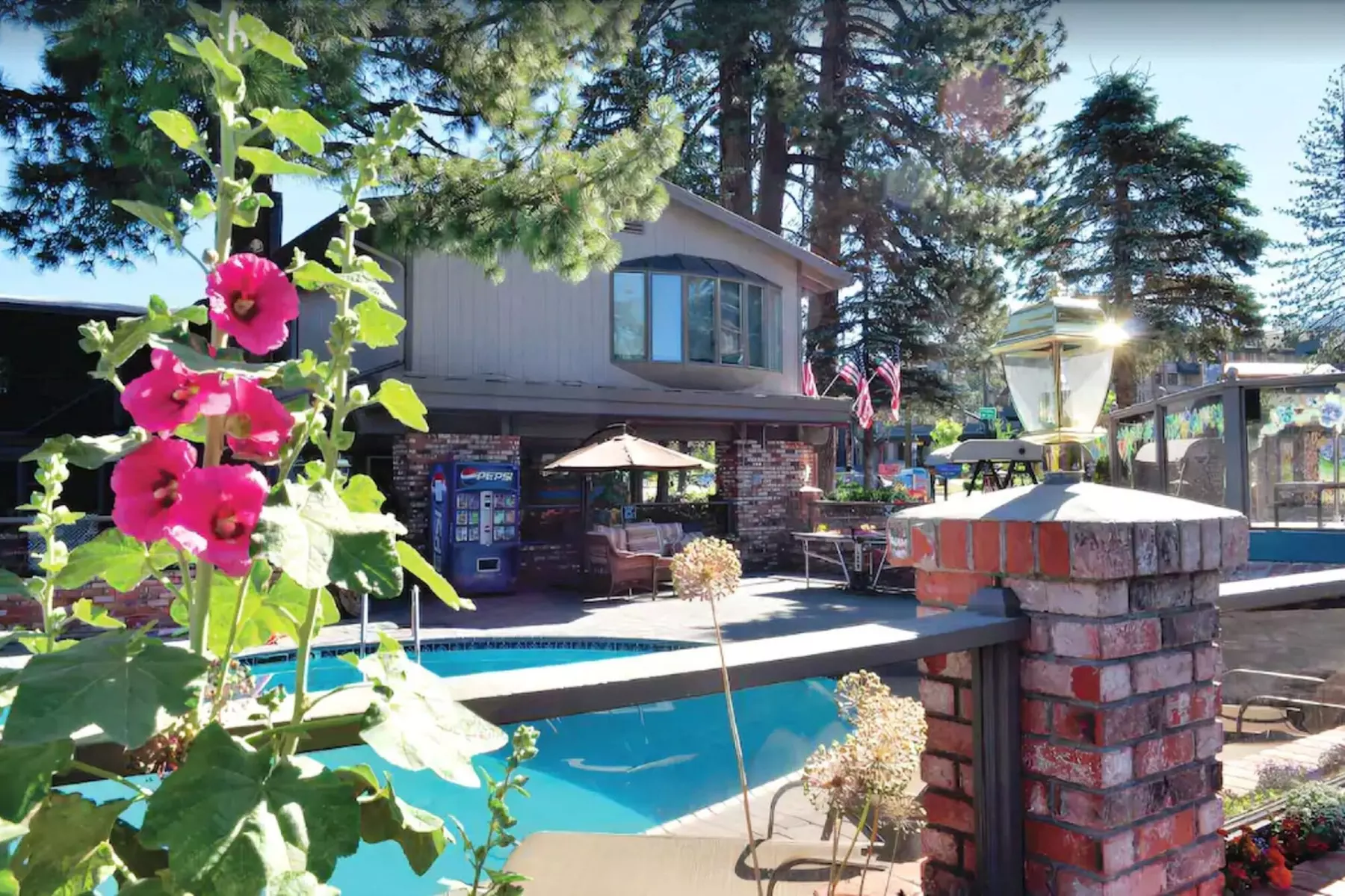 Stardust Lodge - Primary Image