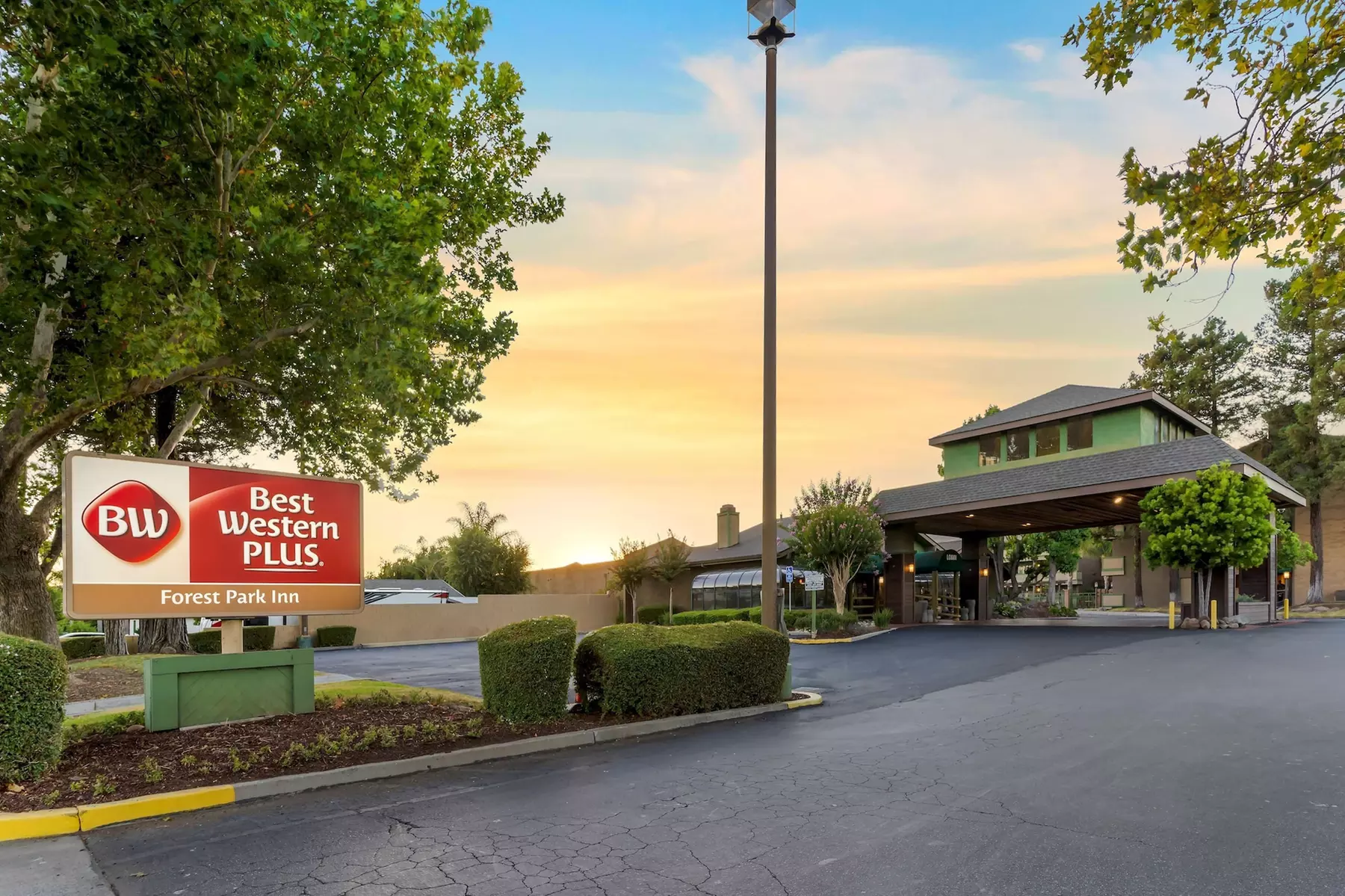 Best Western Plus Forest Park Inn - Primary Image