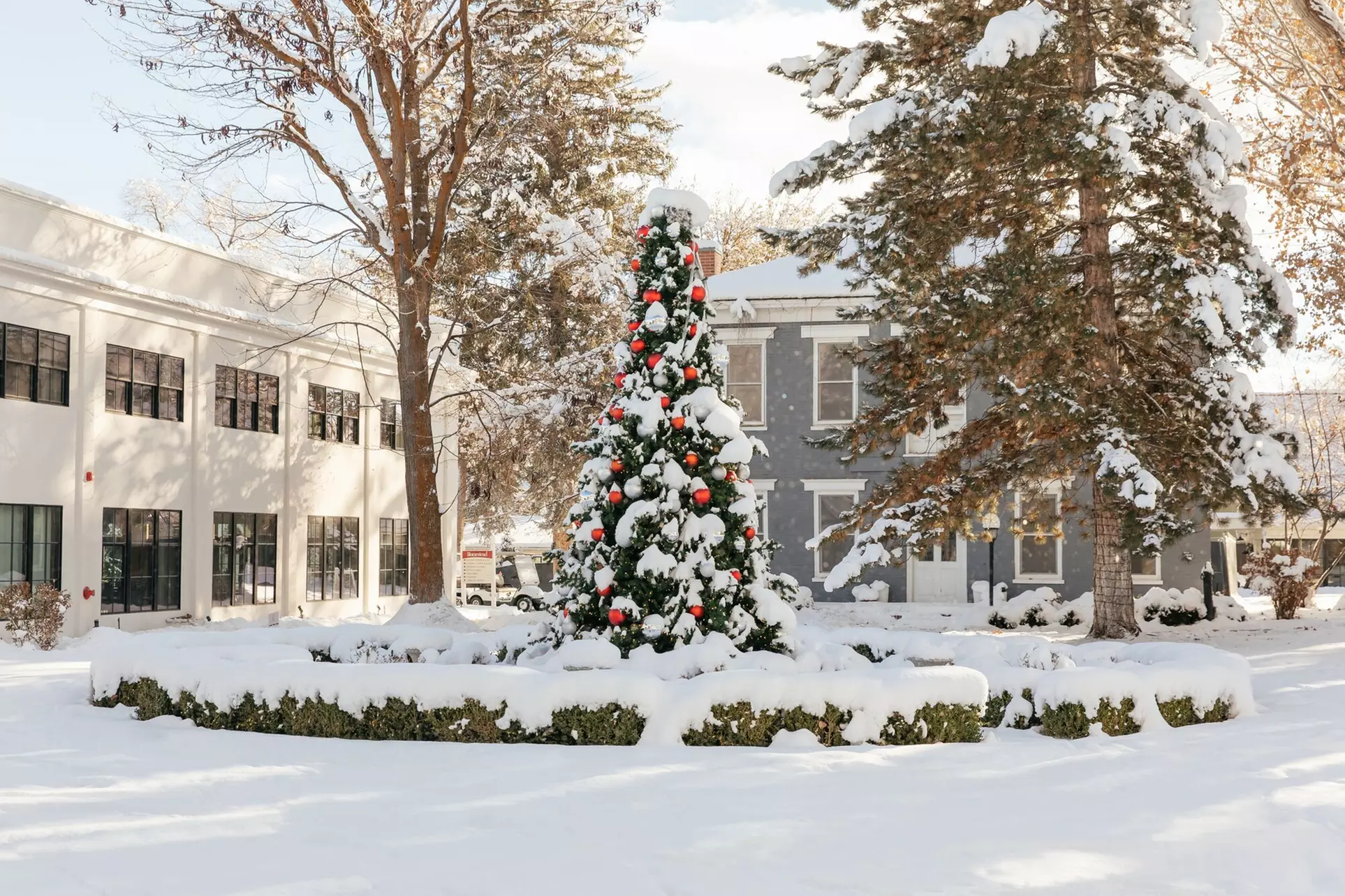 Homestead Resort - Primary Image