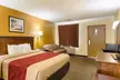 Econo Lodge Fredericksburg near I-95 - Second Medium