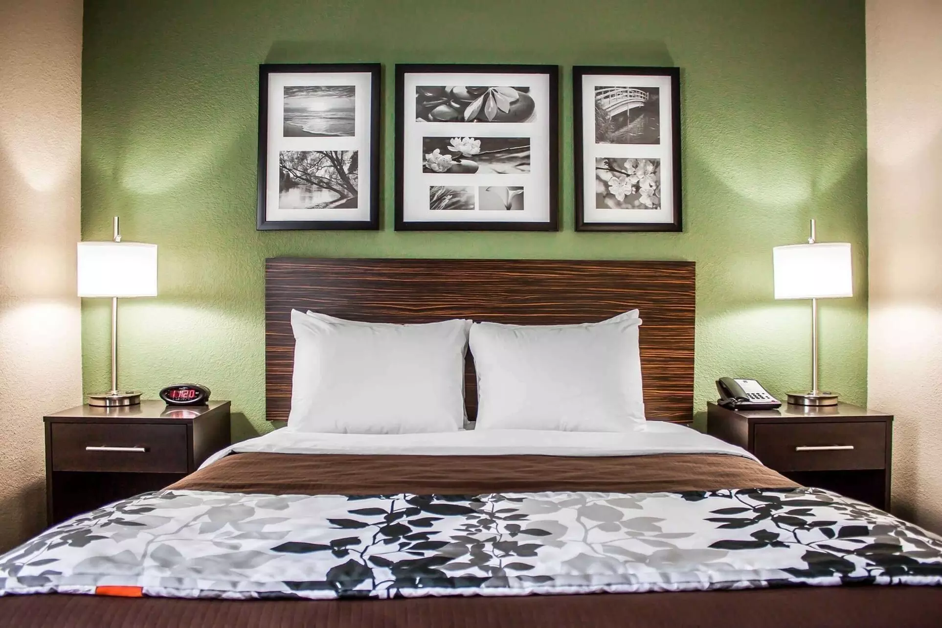 Sleep Inn Nampa near Idaho Center - Primary Image