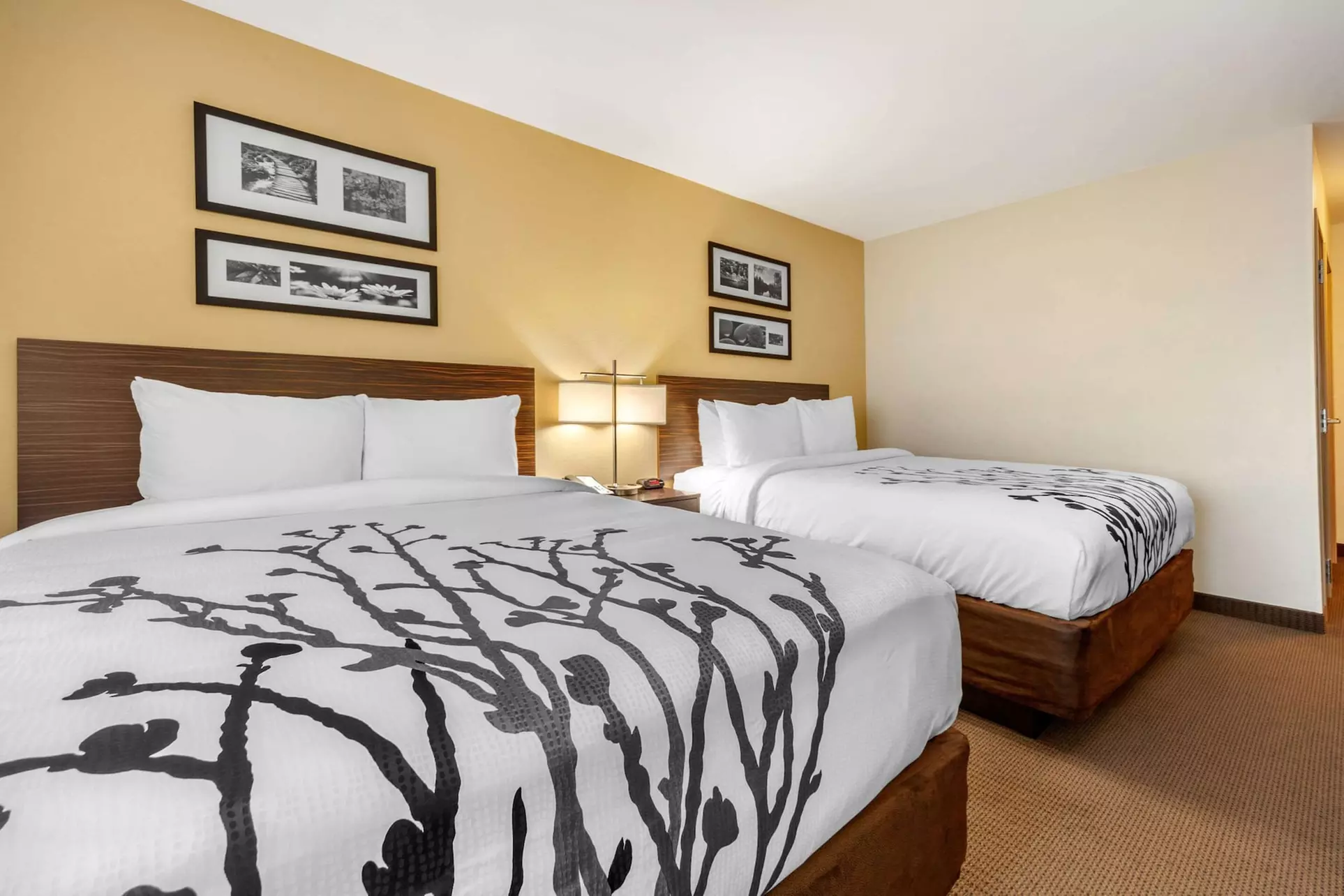 Sleep Inn & Suites Devils Lake - Primary Image