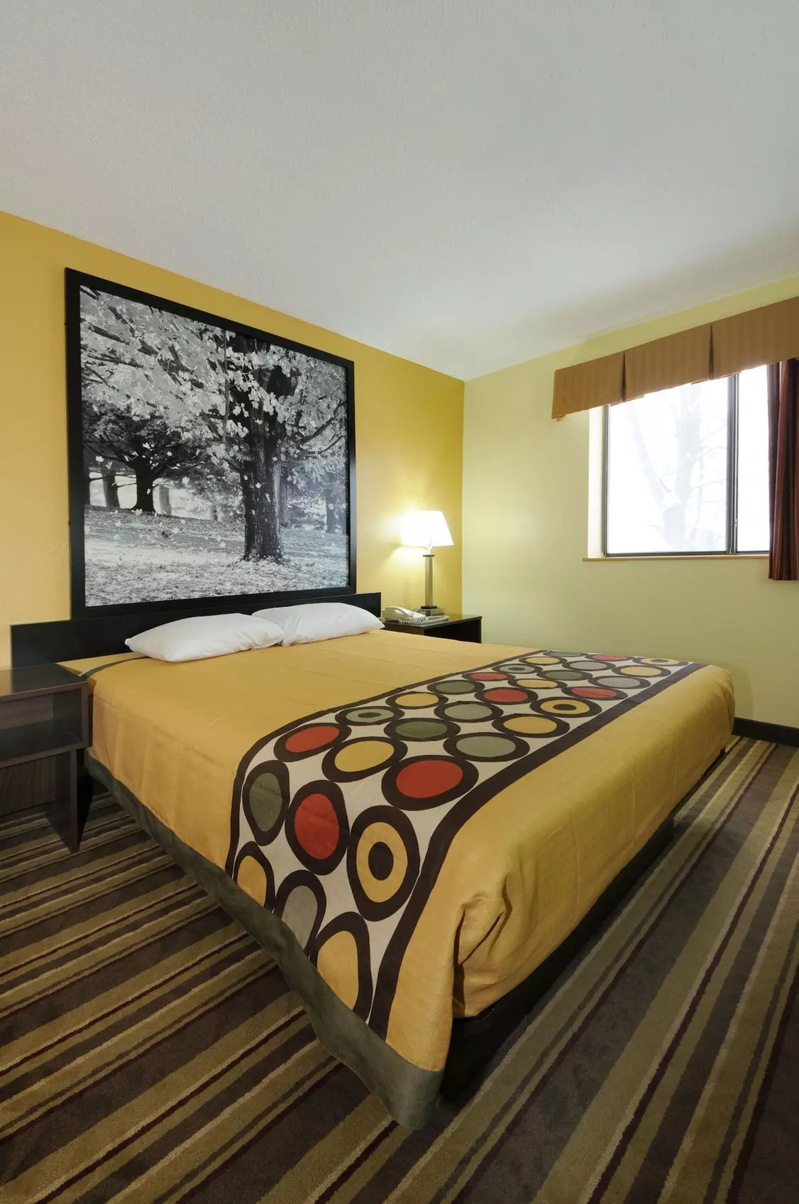 Super 8 by Wyndham Latham/Albany Airport - Primary Image