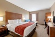 Comfort Inn and Suites Fredericksburg - Second Medium