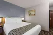 Microtel Inn & Suites by Wyndham Zephyrhills - Second Medium