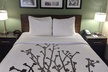 Sleep Inn Nampa near Idaho Center - Second Medium