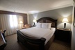 Wyndham Houston near NRG Park/Medical Center - Second Medium
