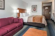 Quality Inn Denver Westminster - Second Medium