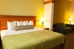 Best Western Plus Miami-Doral/Dolphin Mall - Second Medium