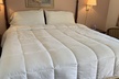 Red Carpet Inn - Second Medium